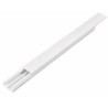 CANALETA DE 2 VIAS 10X20 CON DIVISION VOLTECH CAN-1020D