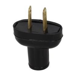 CLAVIJA OVALADA ASTRO CV01