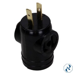 CLAVIJA SOCKET SAMY