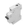 INTERRUPTORES TERMOMAGNÉTICOS 1X20 A, MONTAJE PARA RIEL DIN FN81CEW20 20A BTICINO