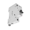 INTERRUPTORES TERMOMAGNÉTICOS 1X32 A, MONTAJE PARA RIEL DIN FN81CEW32 32A BTICINO