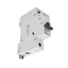 INTERRUPTORES TERMOMAGNÉTICOS 1X32 A, MONTAJE PARA RIEL DIN FN81CEW32 32A BTICINO