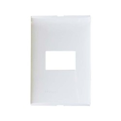 PLACA 1 MODULO COLOR MARFIL CON CHASIS DE RESINA FZA91M